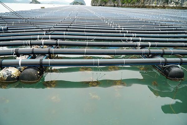 ống hdpe thoát nước thải​