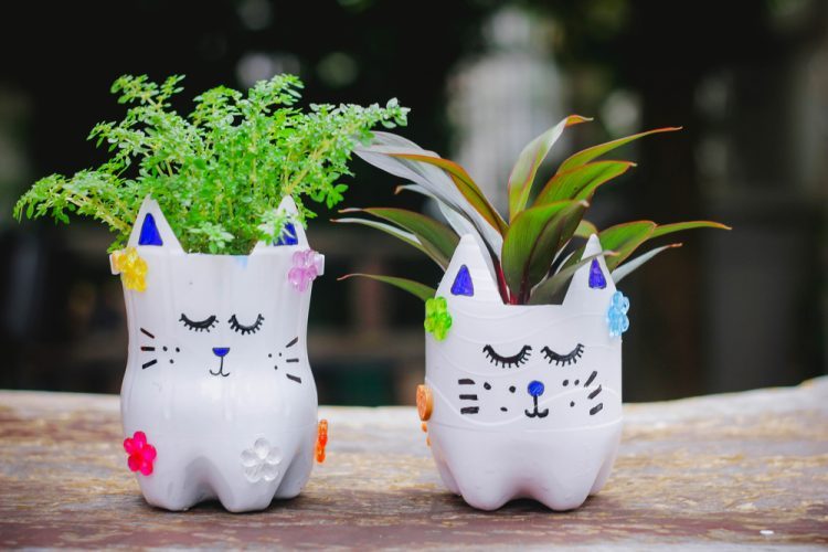 Cách tái chế chai nhựa thành chậu hoa​