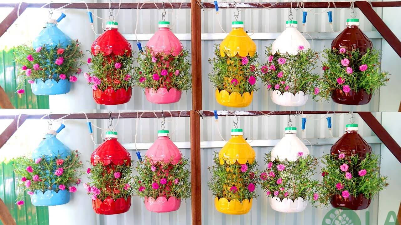 Cách tái chế chai nhựa thành chậu hoa​
