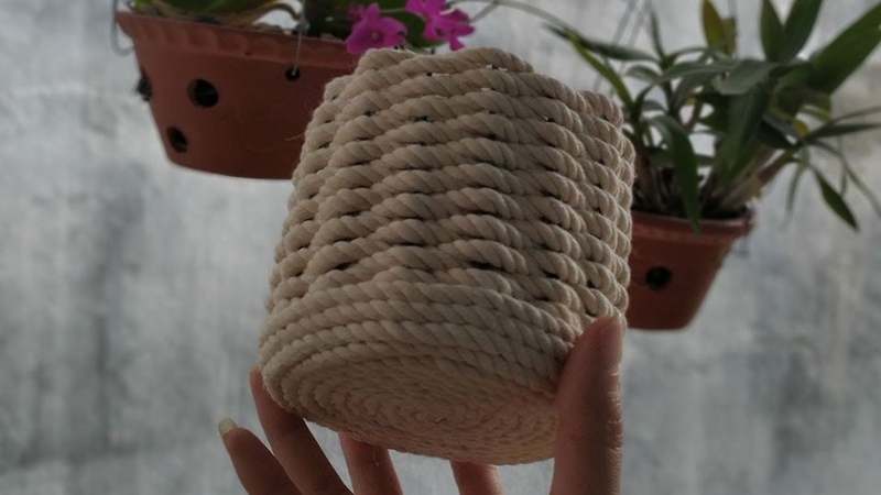 Cách tái chế chai nhựa thành chậu hoa​